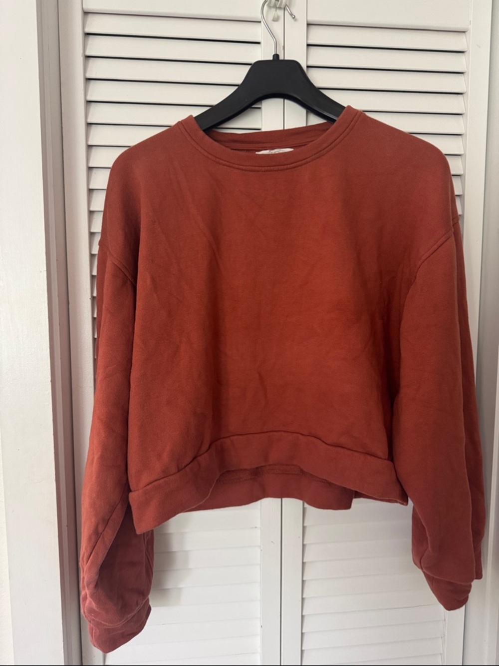 Mikoh Rust-Tone Cropped  Sweatshirt